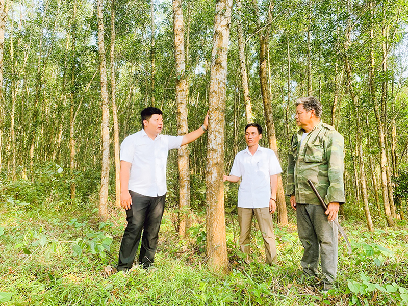FSC Định hướng Đột Phá và Chiến lược của AEEC Việt Nam – Một Bước Đột Phá Về Phát Triển Bền Vững